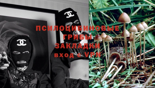 spice Верхний Тагил